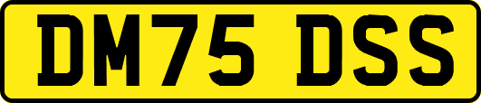 DM75DSS