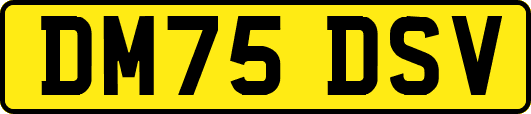 DM75DSV