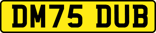DM75DUB