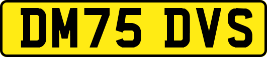 DM75DVS