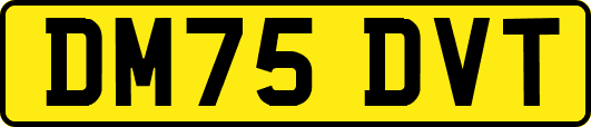 DM75DVT