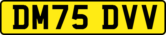 DM75DVV