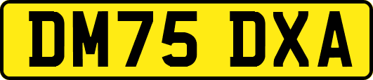 DM75DXA
