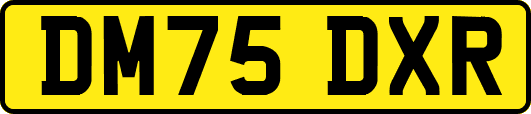 DM75DXR