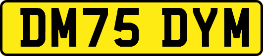 DM75DYM
