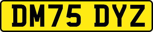 DM75DYZ