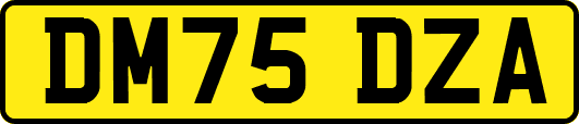 DM75DZA