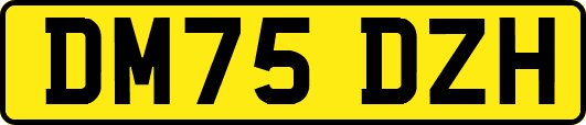 DM75DZH
