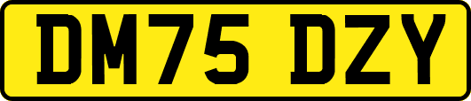 DM75DZY