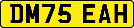 DM75EAH