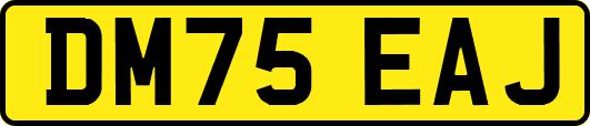 DM75EAJ