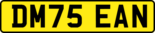 DM75EAN