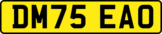 DM75EAO