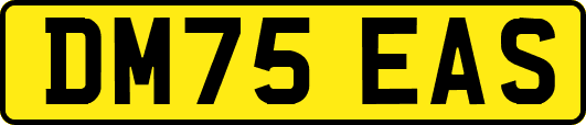 DM75EAS