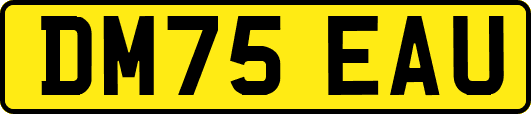 DM75EAU
