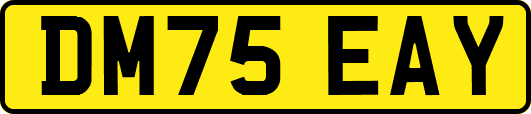 DM75EAY