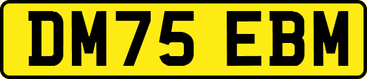 DM75EBM