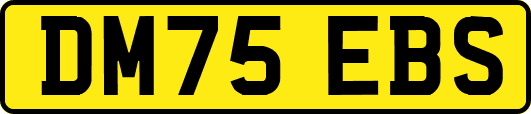 DM75EBS