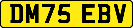 DM75EBV
