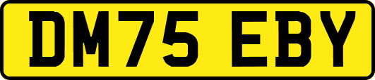 DM75EBY