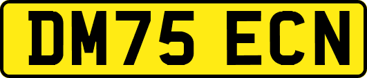 DM75ECN