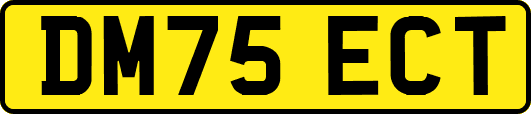 DM75ECT