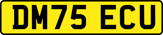 DM75ECU