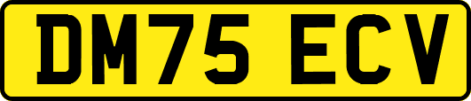 DM75ECV