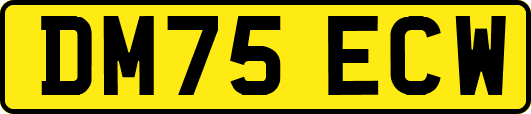 DM75ECW