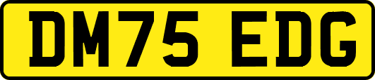 DM75EDG