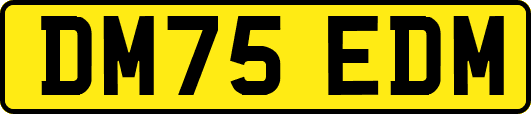 DM75EDM