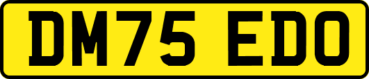 DM75EDO