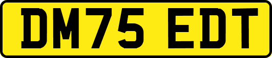 DM75EDT