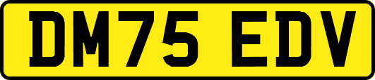 DM75EDV