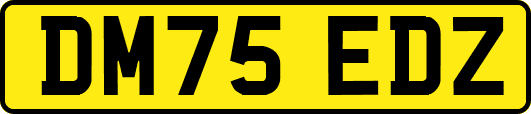 DM75EDZ