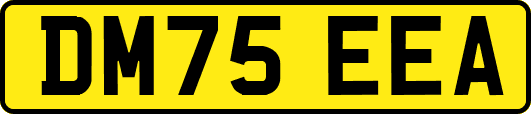 DM75EEA