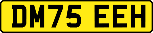 DM75EEH