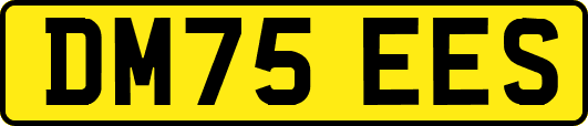 DM75EES