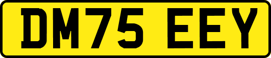 DM75EEY