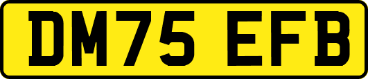 DM75EFB