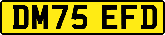 DM75EFD