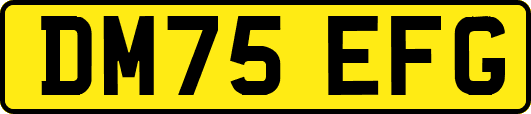 DM75EFG