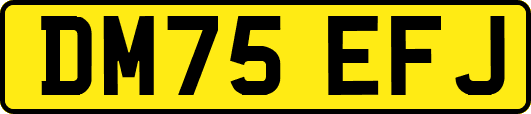 DM75EFJ