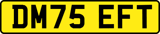 DM75EFT