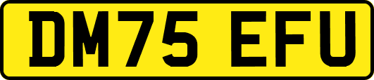 DM75EFU