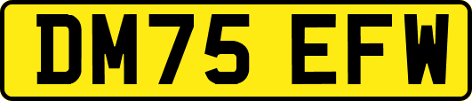 DM75EFW
