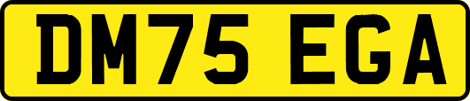 DM75EGA