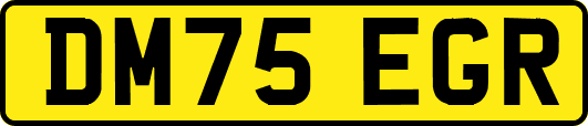 DM75EGR