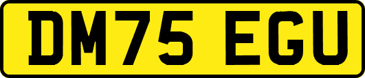 DM75EGU