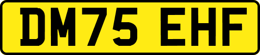 DM75EHF